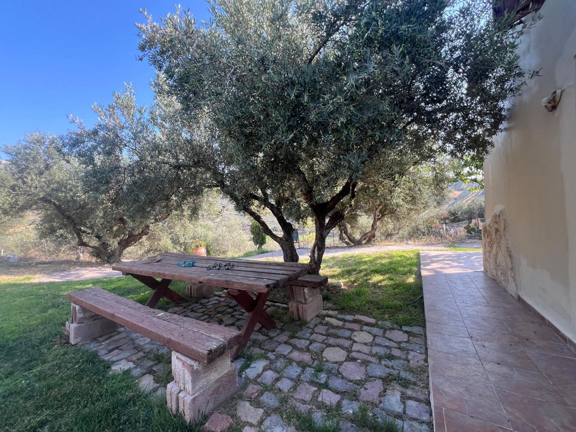 In Nature דירה