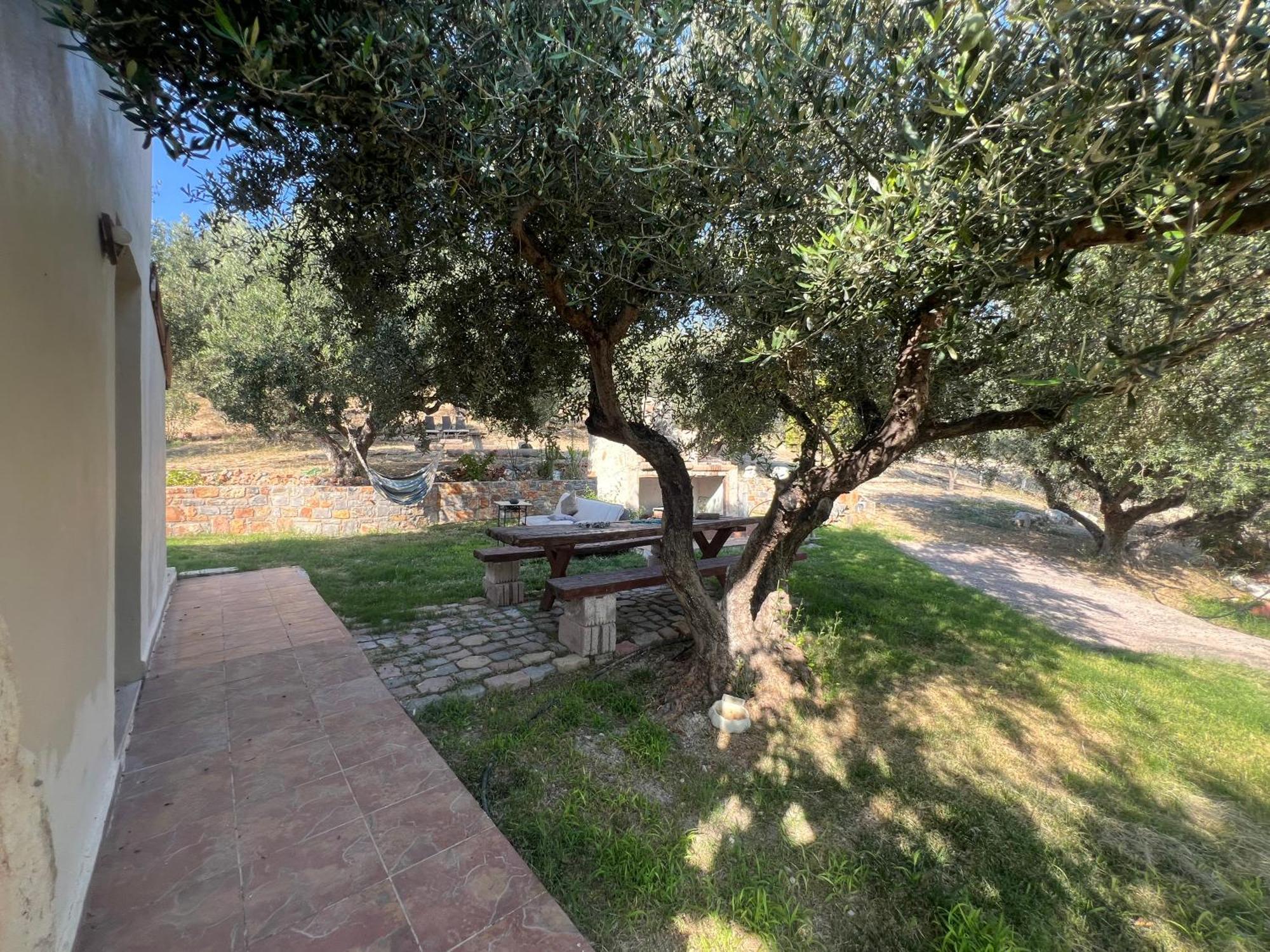 In Nature דירה *