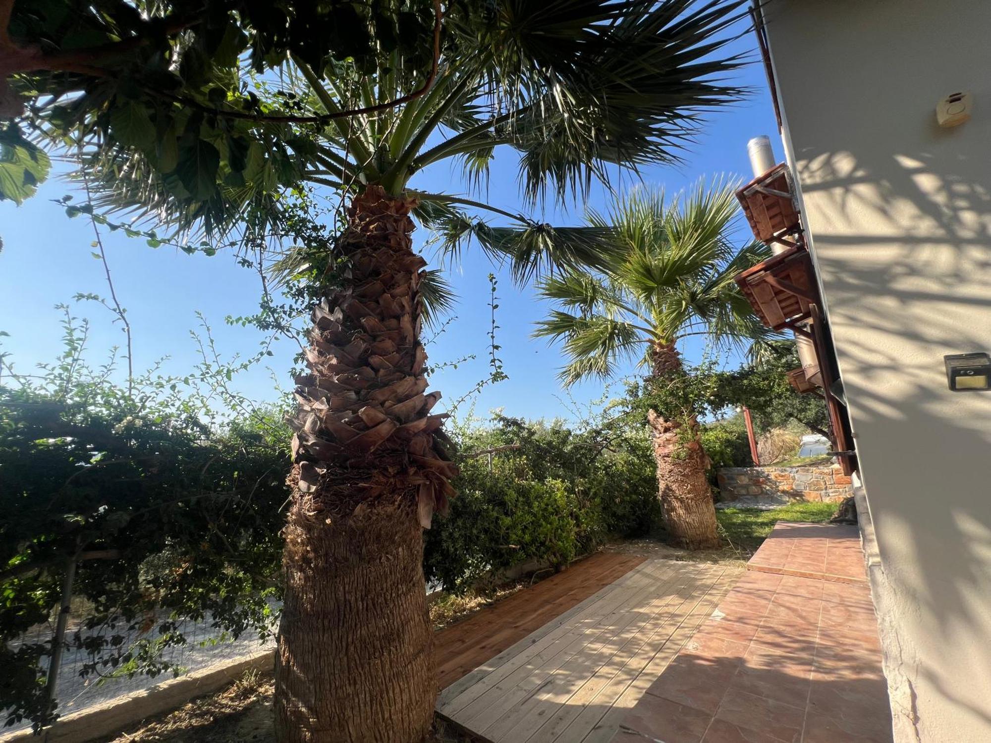Apartament In Nature
